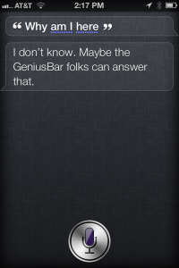 Siri Easter Egg Meaning of Life